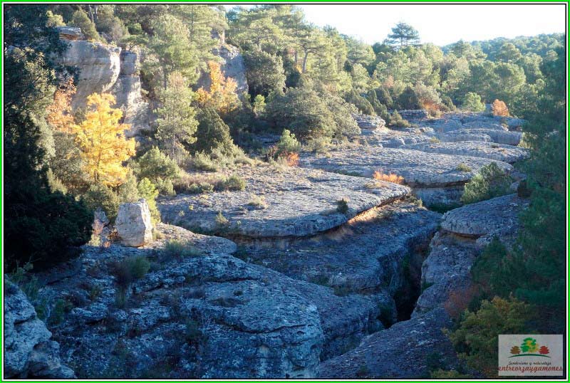 Villalba de la Sierra en Cuenca