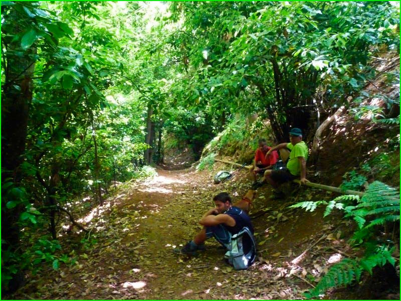 track Barranquillo de las Ánimas - Barranquillo de los Chorros - Pico Osorio en Las Palmas