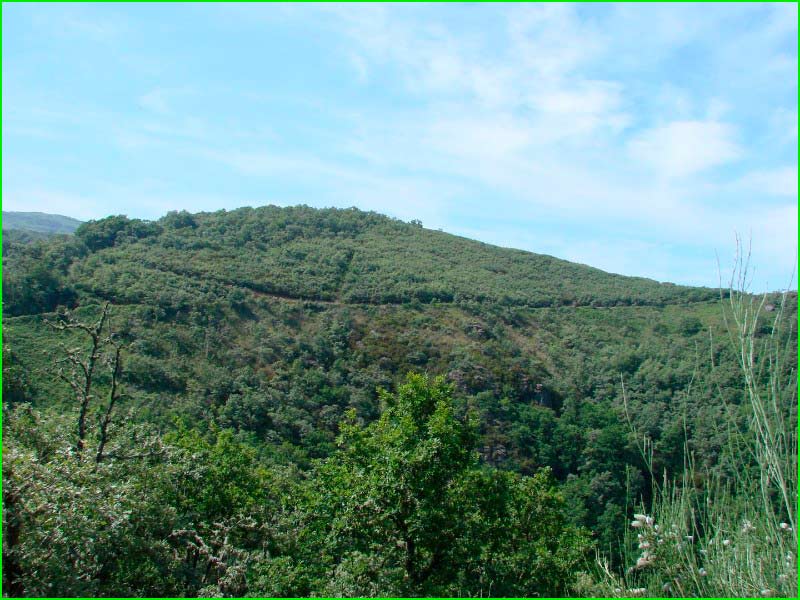 ruta Barreiro - Outeiro da Forca en Pontevedra
