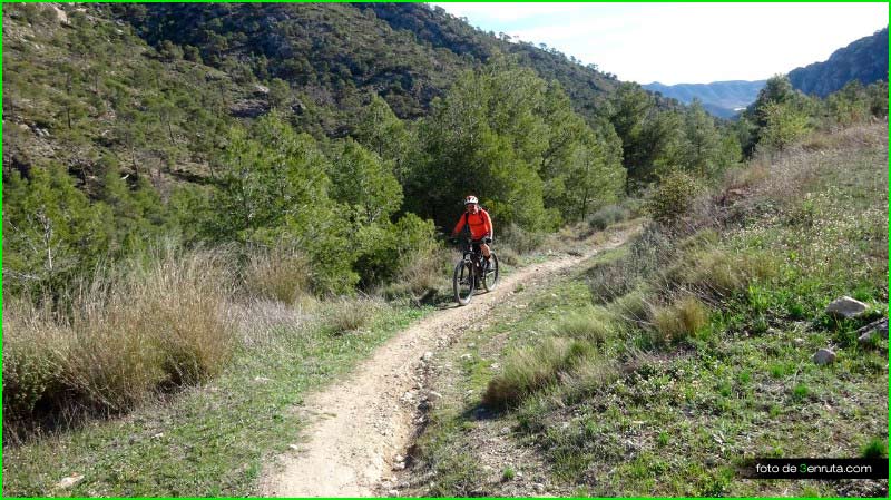 El Pinós en Alicante