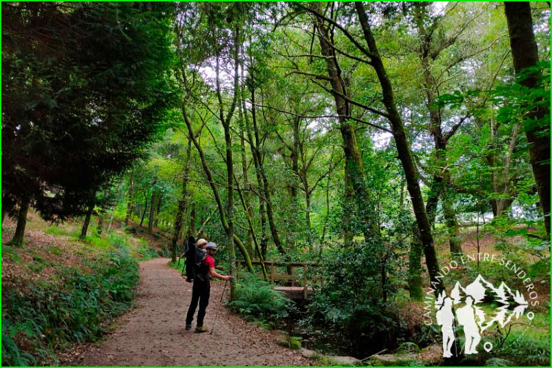 Parque Natural de Cotorredondo en Pontevedra