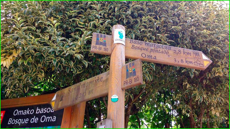 ruta por Reserva de la Biosfera de Urdaibai