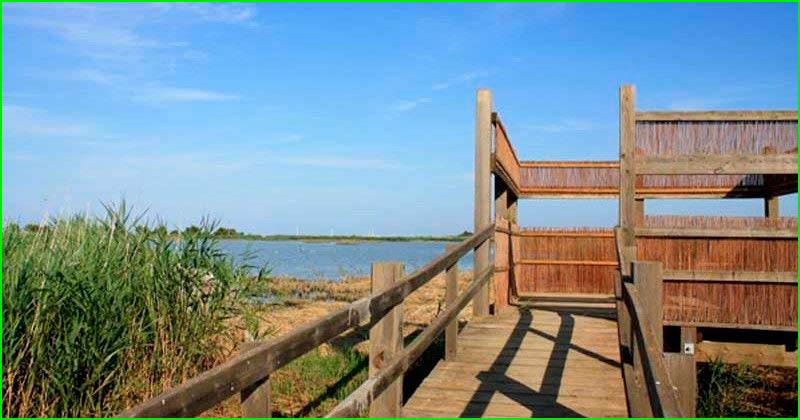 Parque Natural del Delta del Ebro en Tarragona