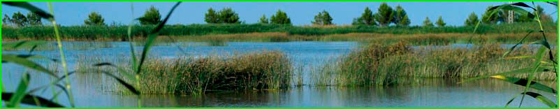Parque Natural del Delta del Ebro en Tarragona