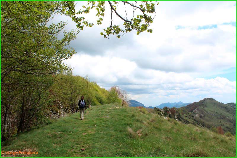 track Basses de Monars - Puig de les Bruixes - Puig Antic - Comanegre en Gerona