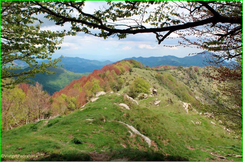 ruta por Alta Garrotxa