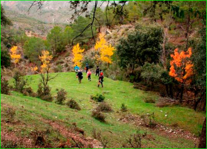 Parque Natural Sierra de Baza en Granada