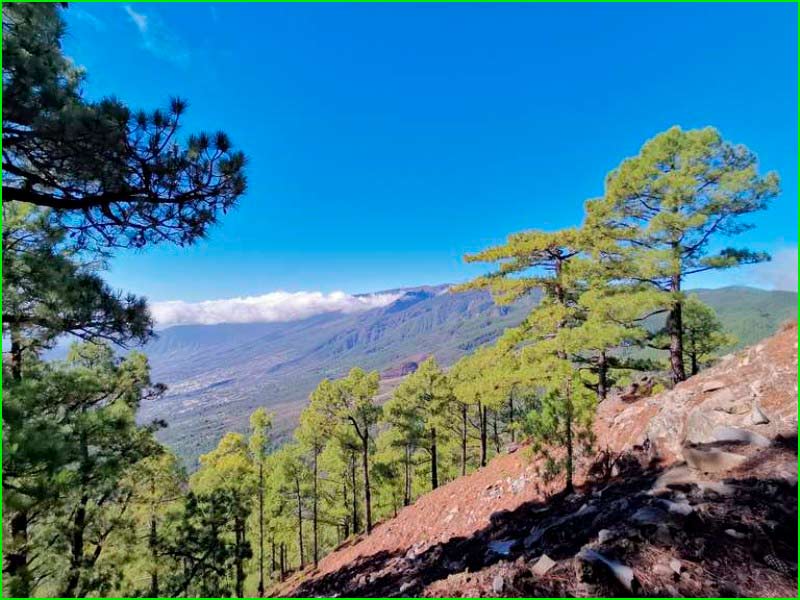 Paisaje Protegido de Las Lagunetas en Santa Cruz de Tenerife