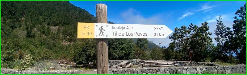 ruta por Los Realejos, Tenerife