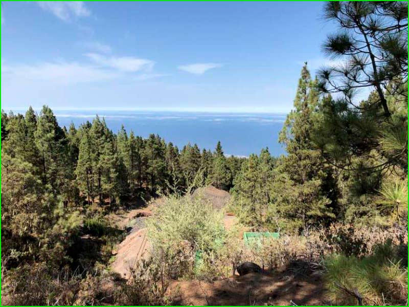 Parque Natural Corona Forestal en Santa Cruz de Tenerife