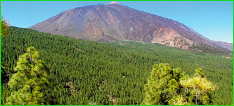 Parque Natural Corona Forestal en Santa Cruz de Tenerife