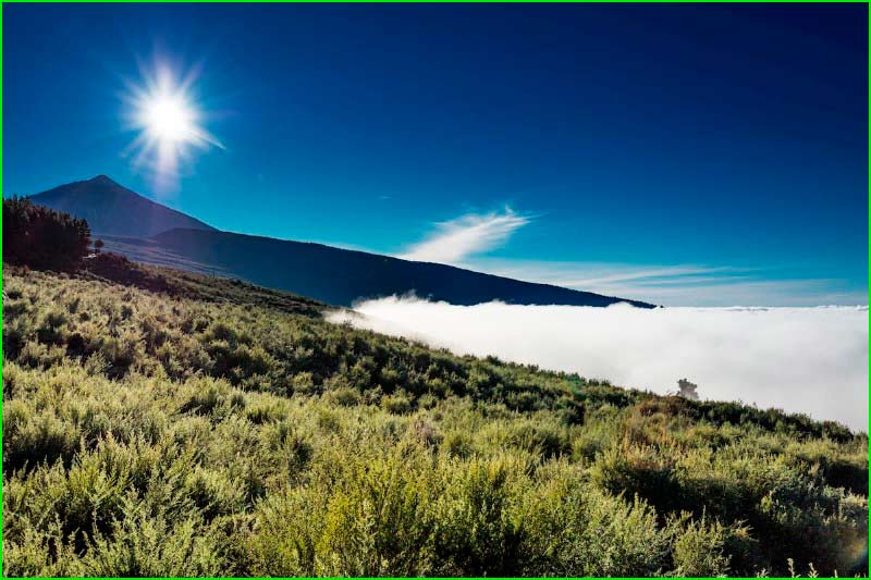Parque Natural Corona Forestal en Santa Cruz de Tenerife