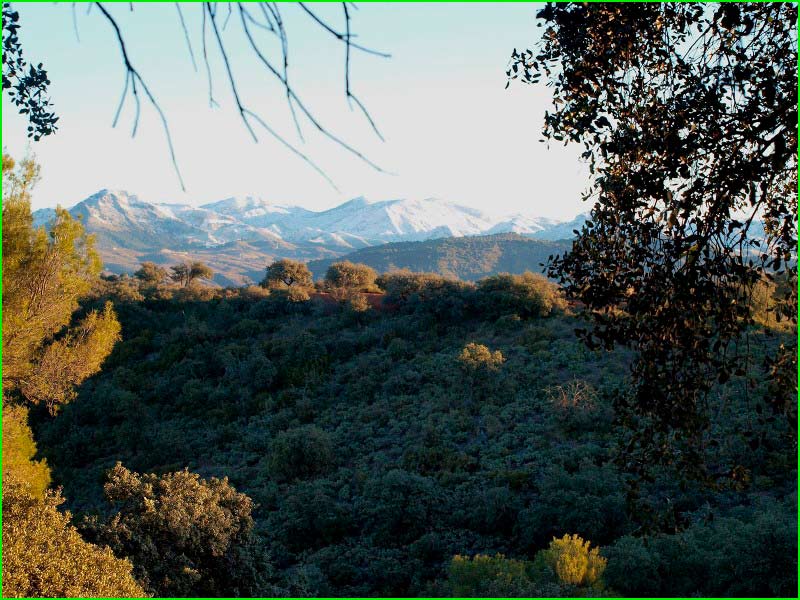 ruta Beas de Granada - Granada en Granada