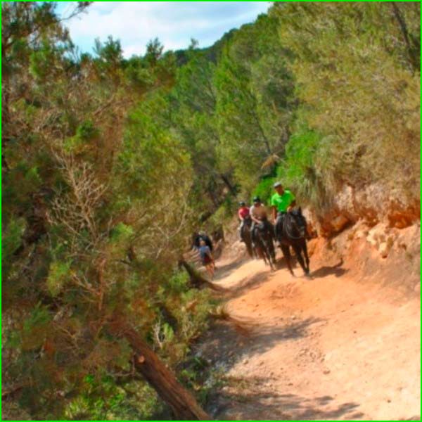 ruta Bechí - Camí Coco del Barber - Camí de les Vinyes en Castellón