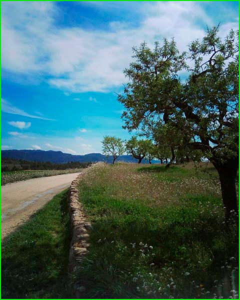ruta por Bechí, Castellon