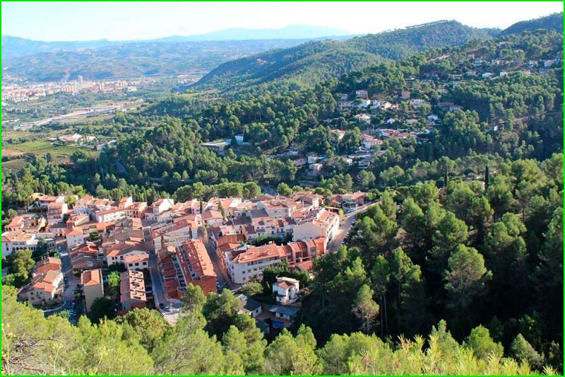 Begues en Barcelona