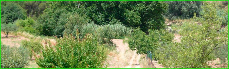 ruta Bella Vista - Sant Salvador de la Calçada - Can Bargalló en Barcelona