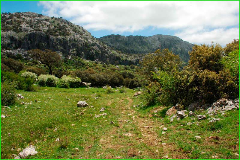 Parque Natural de la Sierra de Grazalema en Cádiz