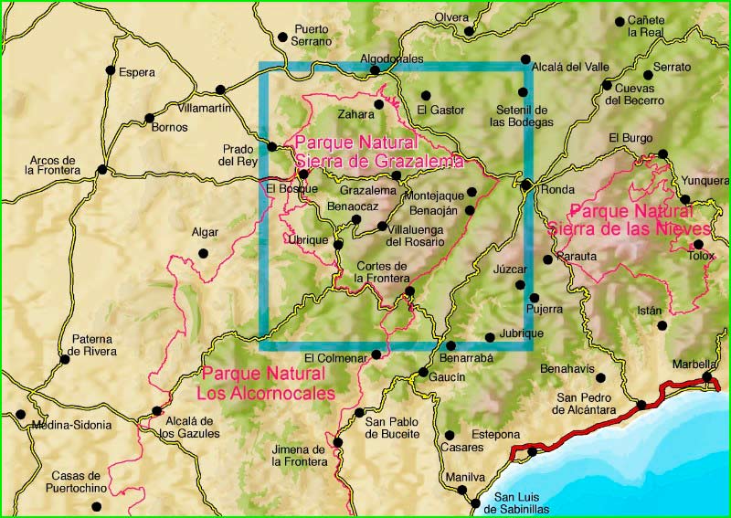 ruta por Parque Natural de la Sierra de Grazalema