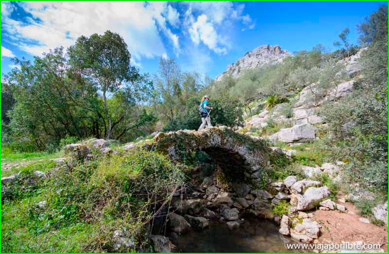 Parque Natural de la Sierra de Grazalema en Cádiz