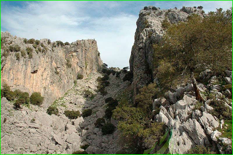 Parque Natural de la Sierra de Grazalema en Cádiz