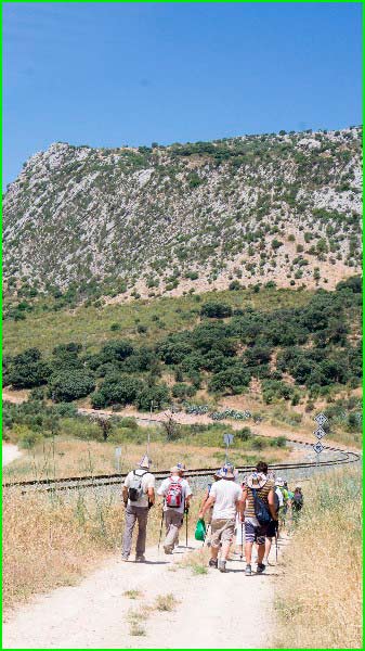 ruta Benaoján - Ronda vía GR®249 en Cádiz