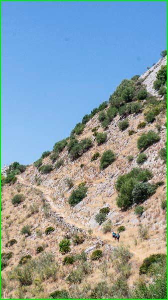 track Benaoján - Ronda vía GR®249 en Cádiz