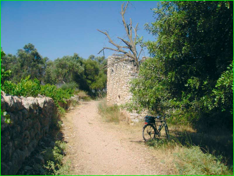 ruta Benibrai - Les Passules en Alicante