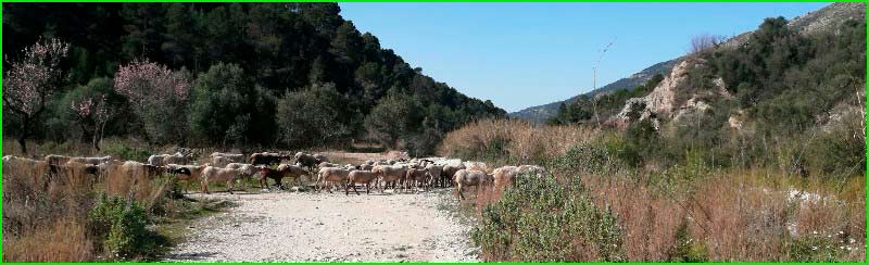 track Benichembla - Murla en Alicante