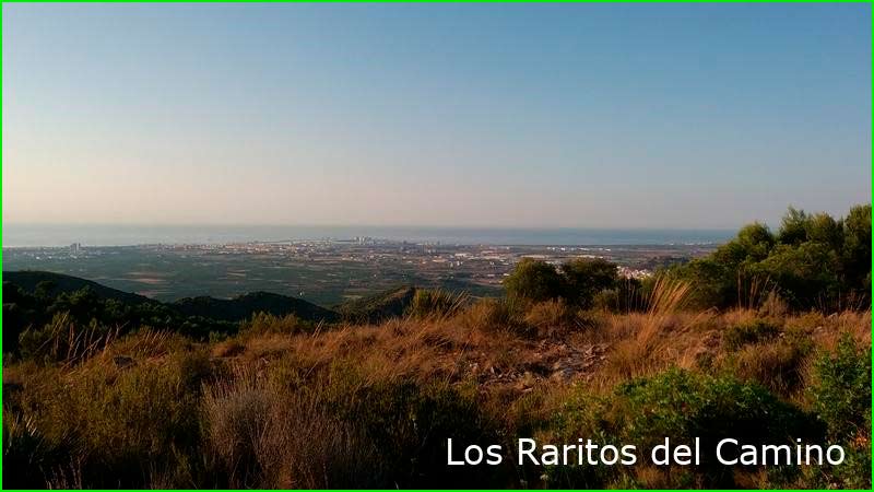 Faura en Valencia