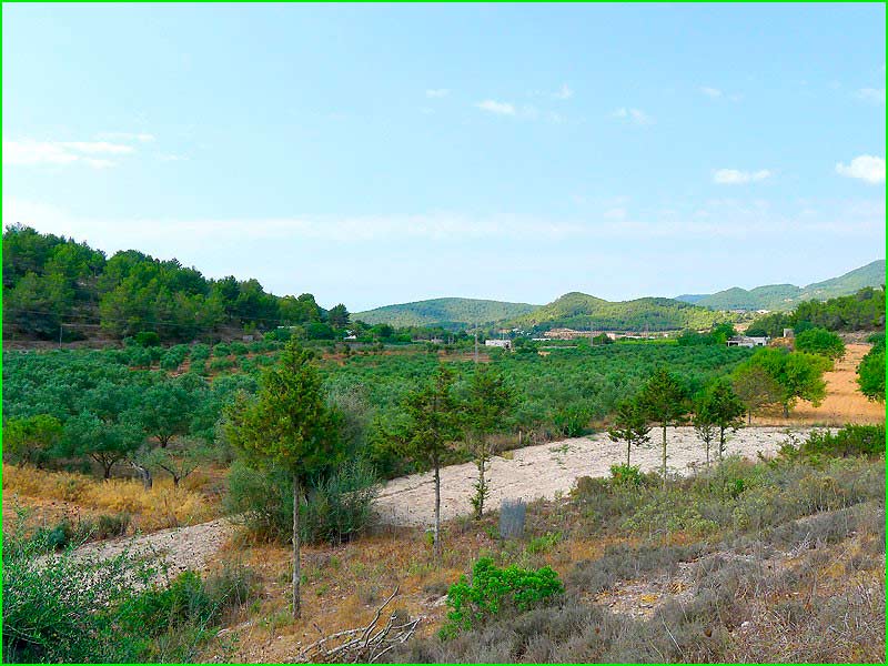 San Antonio Abad en Baleares