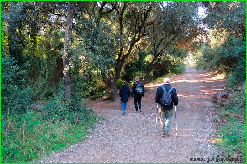 ruta Berga - Riera Dels Molins - Cascada de la Riera de Fontcaldes en Barcelona