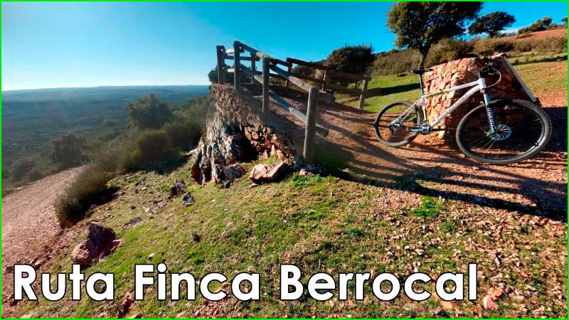 Berrocal en Huelva
