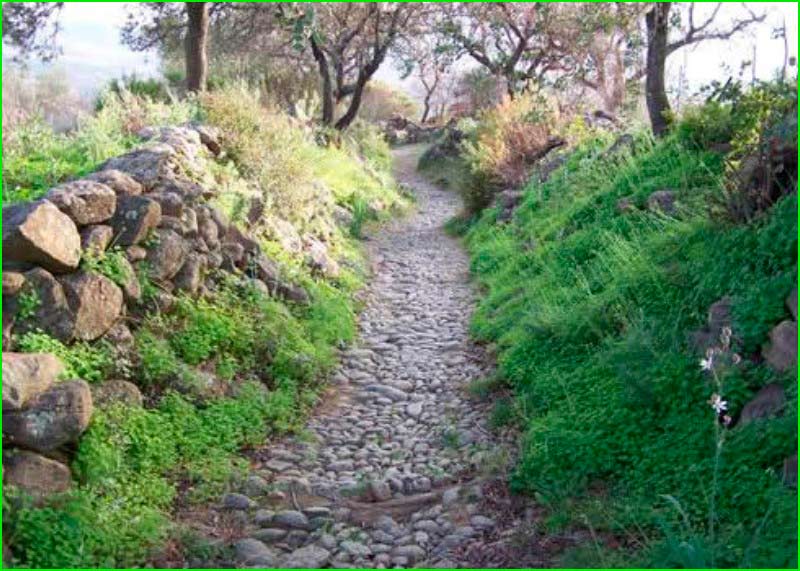 ruta Berrocal - Cumbres de la Cuesta del Carril en Huelva