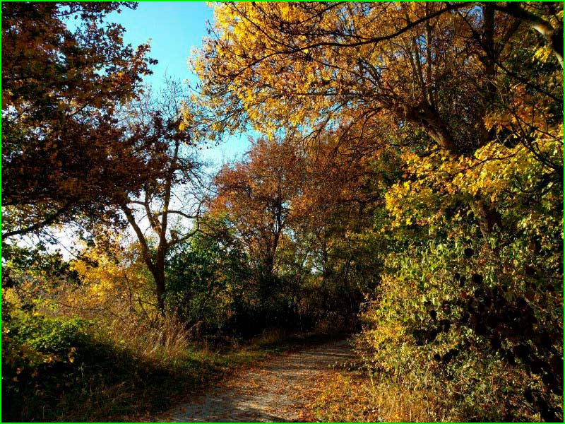track Berrosteguieta - Esquivel - Bosque de Armentia en Álava