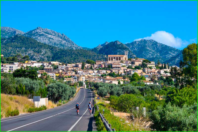 Selva en Baleares