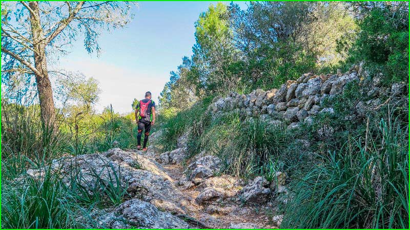 track Biniamar - Camí Llarg - Es Puig en Baleares