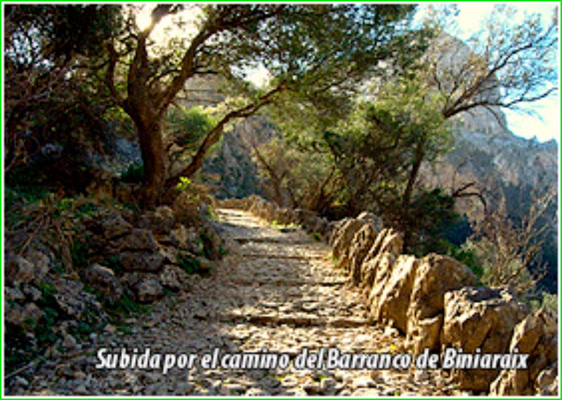 Sóller en Baleares