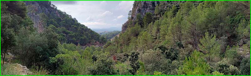ruta por Selva, Mallorca