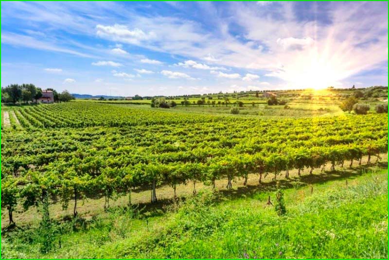 ruta Binisallem - Andratx - Banyalbufar en Baleares