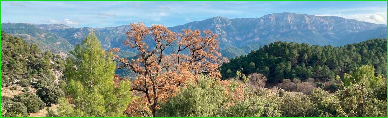 ruta Blancillo vía Zarzalar en Jaén