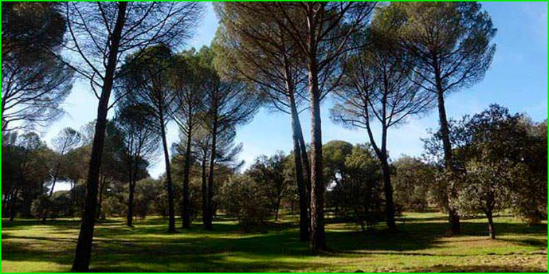 track Boadilla del Monte - El Bosque de Santander en Cantabria