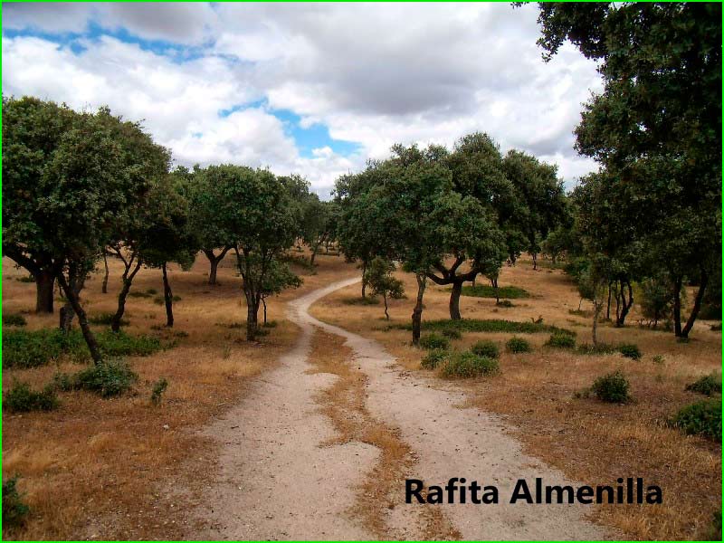 track Boadilla del Monte - Parque de Monte de Boadilla - Encinar de Boadilla en Madrid