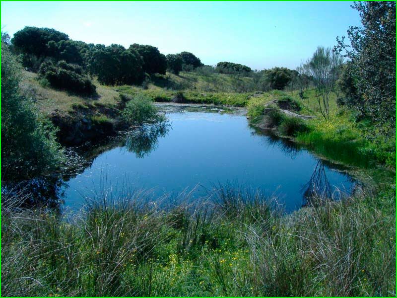 Parque Regional del Curso Medio del Río Guadarrama en Madrid