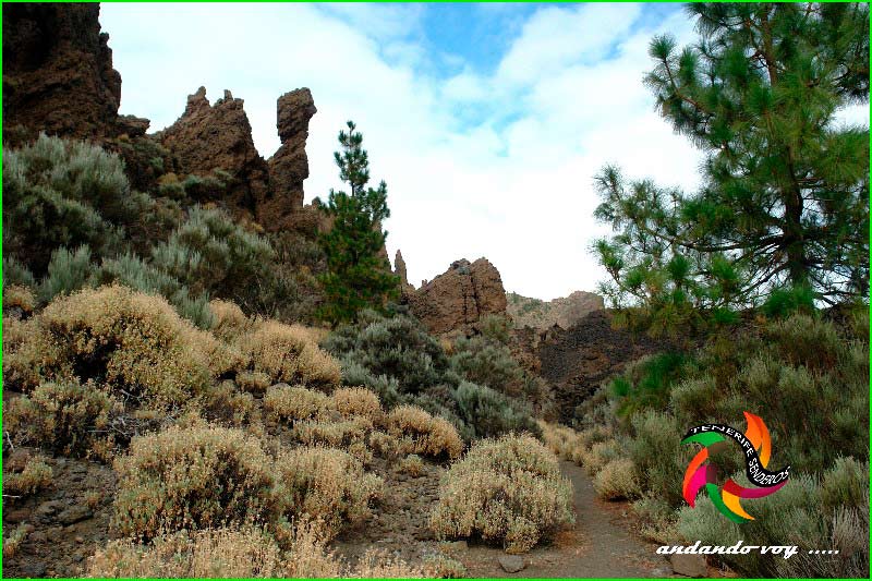 ruta por Parque Nacional del Teide