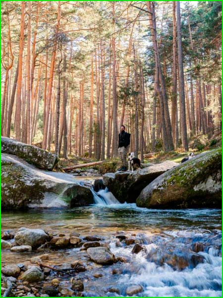 Parque Nacional de la Sierra de Guadarrama en Madrid