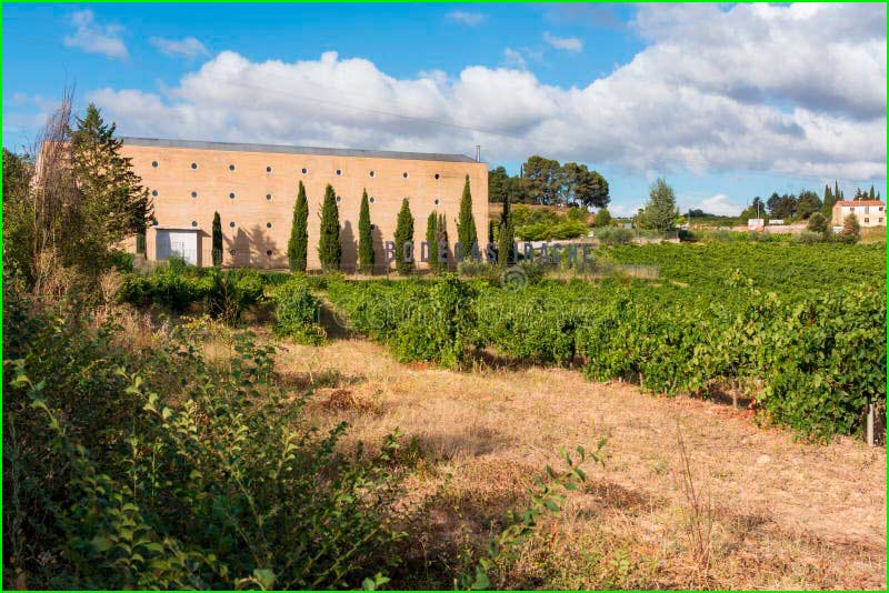 track Bodegas Irache - Montejurra - Ayegui en Navarra