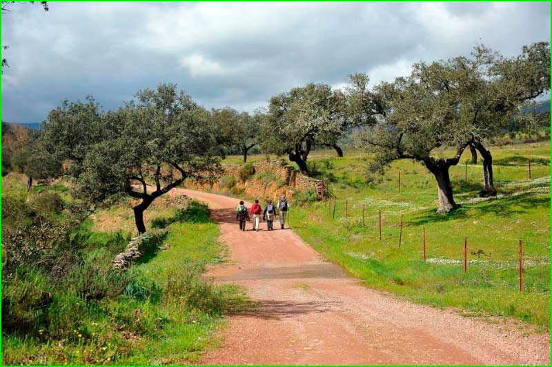Parque Natural Sierra de Aracena y Picos de Aroche en Huelva
