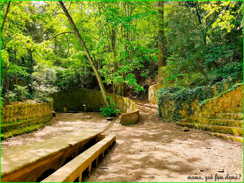 Bosc de Can Baró en Barcelona