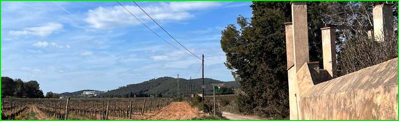 ruta Bosc de Can Baró en Barcelona